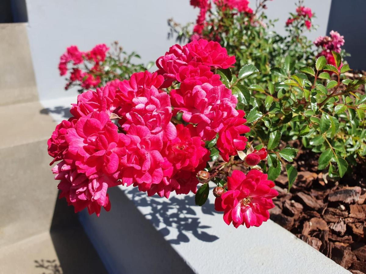 Casa Atlantico Dachterrassengeschoss Apartment Ribeira Brava Ngoại thất bức ảnh